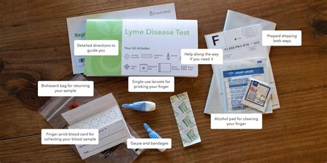 lyme tests hard to interperate|lyme disease blood test.